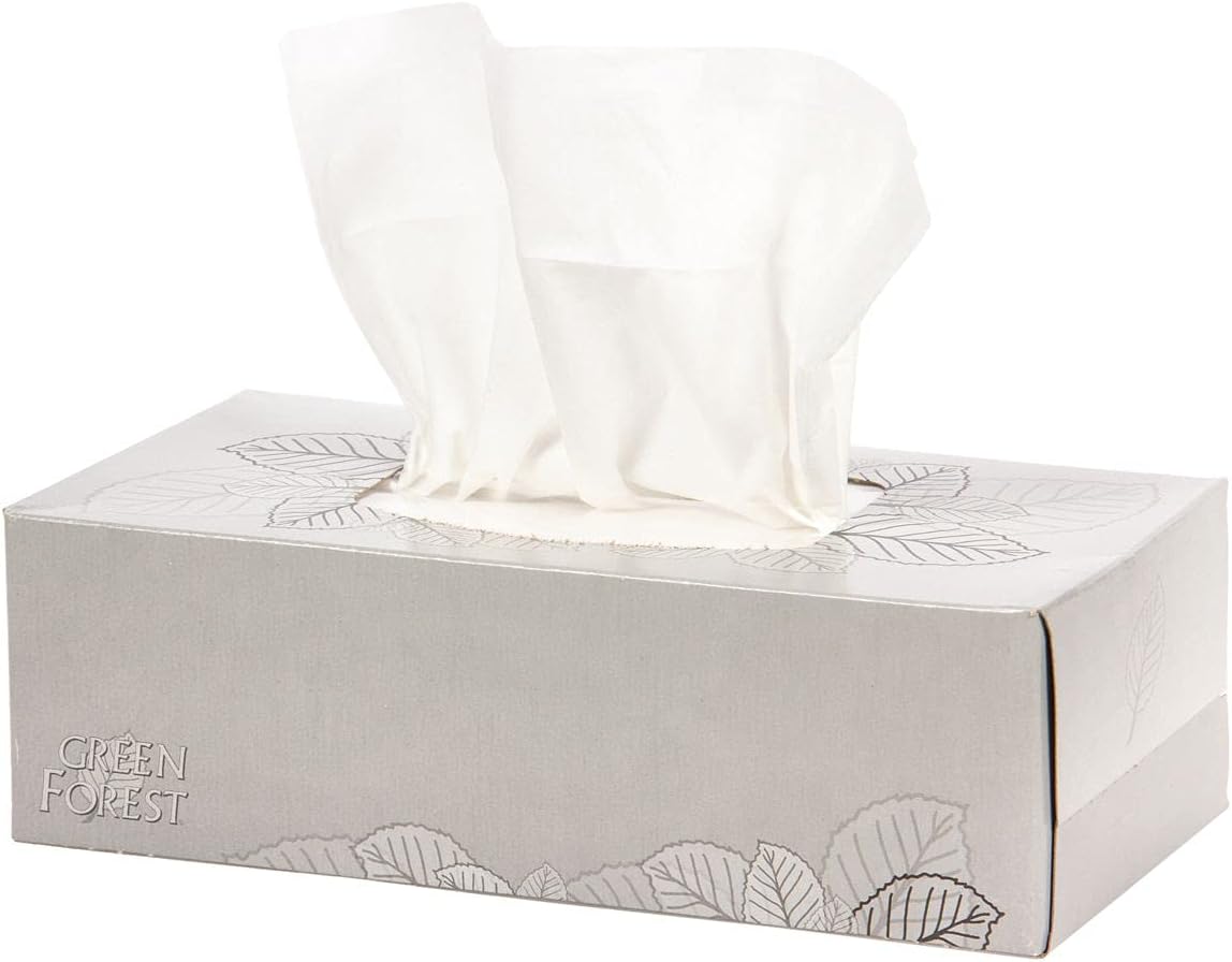 GreenForest 100% Recycled Facial Tissue, 175 Count (Pack of 24), 38204