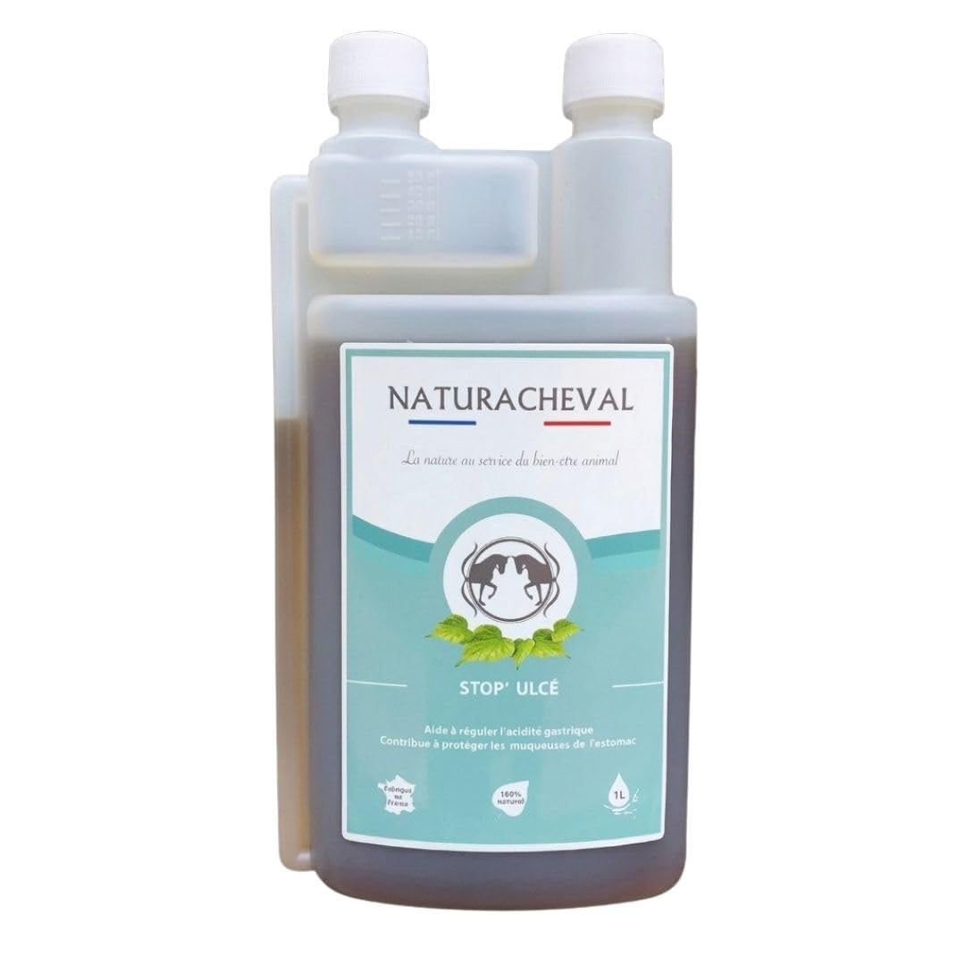 Ulcère Cheval & estomac – Complément Naturel Anti acidité gastrique – Protège muqueuses & apaise douleurs – Digestion Sensible – Formule Plantes