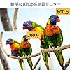 【800万画素P0Eセット】POE有線接続 防犯カメラセット Hiseeu 屋外セキュリティカメラ 12インチ NVR 8チャンネルまで増設可 カメラ4台 800万画素カメラ 遠隔監視 防水等級ip66 動態検知 屋内/屋外 防犯カメラ ネットワーク不要(800万画素カメラ4台+12インチ800万画素の録画機+3TB HDD) #3