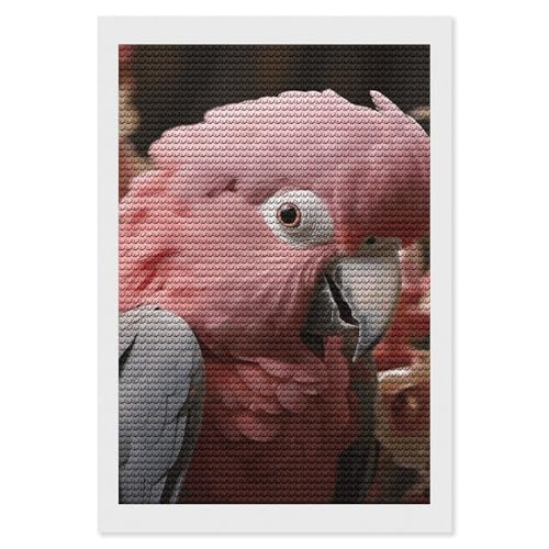 Peinture diamant 5D rose cacatoès pour créer une décoration murale zen dans votre chambre