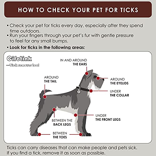 Cifotink Tick Removal Tool Tick Remover Card Kit For Dog Cat And Humans,Include Stainless Steel Tick Tweezers,Tick Remover Identification Card And Lice Combs For Tick Lice Flea And Nits #TOP2