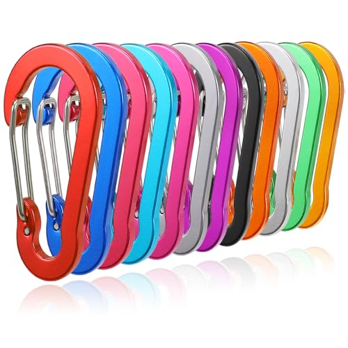12 Pack Carabiner Clip, 2 inch D Ring Small Carabiners, Mini Keychain Snap Hook for Outdoor Camping Craebuer