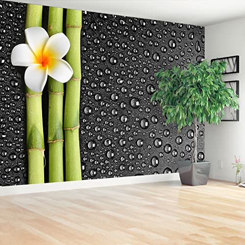 Bricolage Maison stickers muraux Fleur de frangipani 250x104