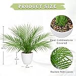 DILATATA Fausse plante 15" Plant de palmier artificiel en pot blanc Real Touch Faux Tropical Palm Tree Houseplant pour la maison Intérieur Salon Table Table de table Décorations Balcon