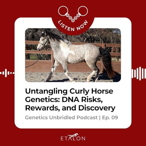 Untangling Curly Horse Genetics: DNA Risks, Rewards, and Discovery