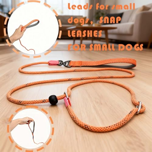 Rieoany Retrieverleine mit Zugstopp, 6mm x 180cm Hundeleine für kleine, mittlere und große Hunde, Zugstopp Halsband Hund, Leichte Hundeleine mit Halsband, Retrieverleine für Training und Spaziergang