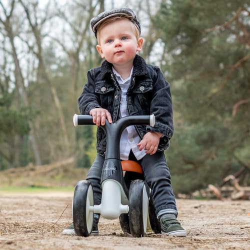 Hippiez Laufrad ab 1 Jahr Freedom – Bild 5