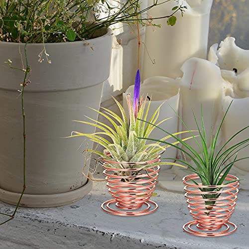 Liyi Air Plant Holder, 8 Pcs Air Plant Stand Container Stainless Steel Air Plant Display Racks For Home Decor Indoor Air Plants (Rose Gold) #TOP5