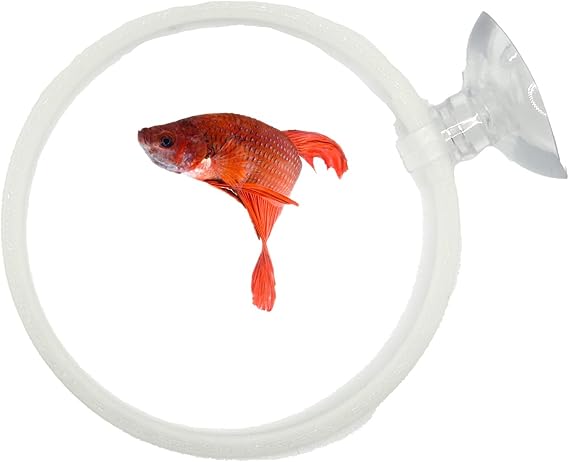 Betta Fish Olympic Ring For Betta Fish Trainning 2 Pack | Betta Excercise Loop Betta Loop For Aquarium Decor | CTWPetsTM (Glowing Green)