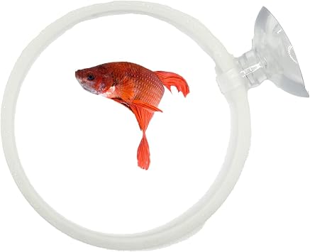 Betta Fish Olympic Ring For Betta Fish Trainning 2 Pack | Betta Excercise Loop Betta Loop For Aquarium Decor | CTWPetsTM Glowing Green