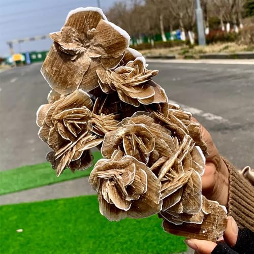 Rosa del desierto y selenita para decorar una oficina zen o dormitorio 4