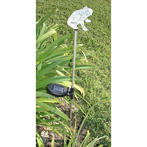 Review de Canoa para jardines LED los 7 más buscados. 8 Imagen adicional