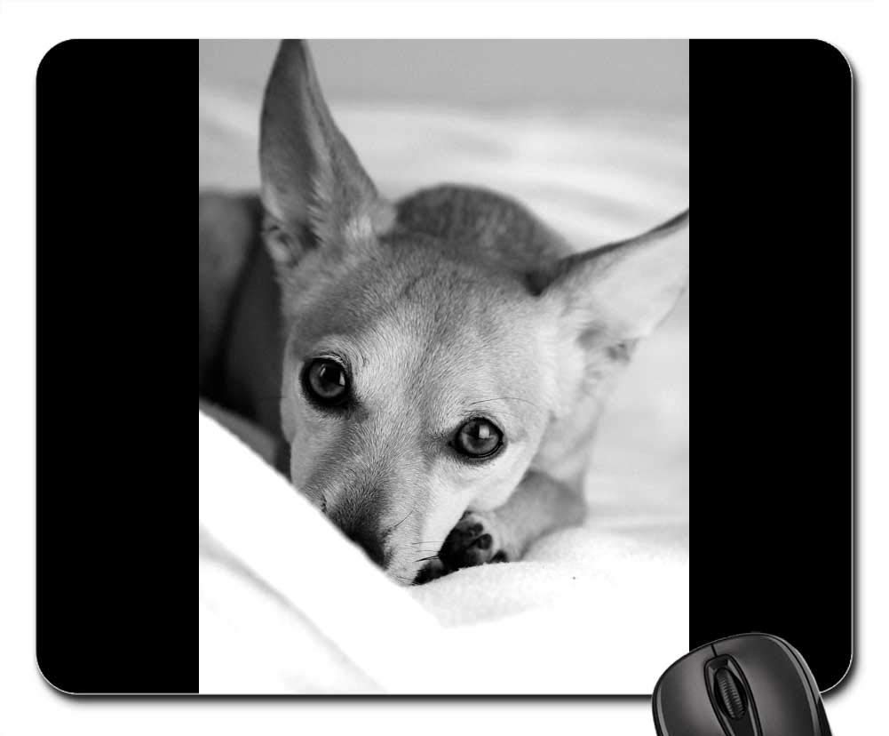 Gaming Mouse Pads,Mouse mat,Dog EB Animal Pets Nature Four-Legged Ear Cute