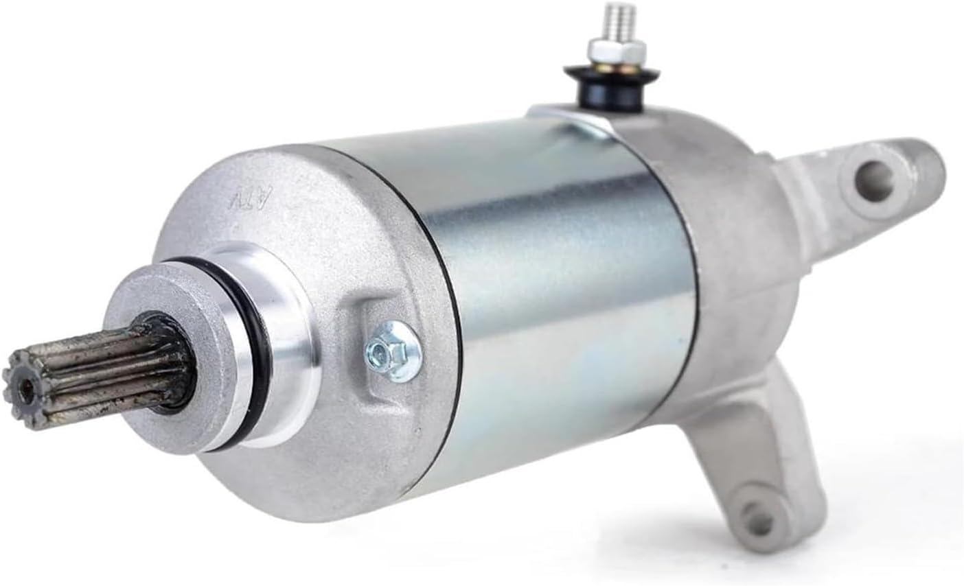 山採りヤマツツジ 山2 H220cm W70cm 山採り ヤマツツジ花 2023