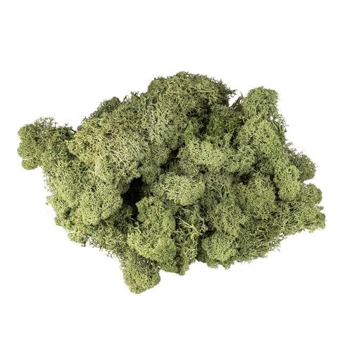 Ideen mit Herz Islandmoos | waldgrün | Deko-Moos | Naturprodukt | 200 g