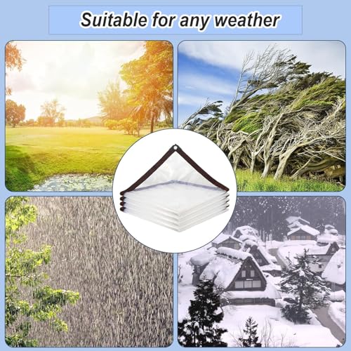 Lona impermeable transparente de 310 x 370 cm con cuerda 6