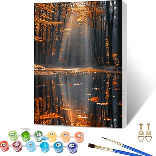 �������G �z���t�� ��, ���G �L�����o�X �A��, DIY Paint by Numbers for Adults �܂� �A�N�����y�C���g������ �u���V, �����h��G �y�C���g�o�C�i���o�[, �K�؂� ��l ���S��, �z�[�� �I�t�B�X����, �M�t�g ����, 