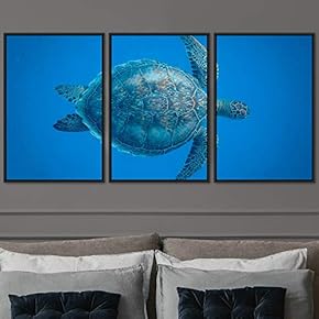 signwin 3 Piece Framed Canvas Wall Art Turtle...