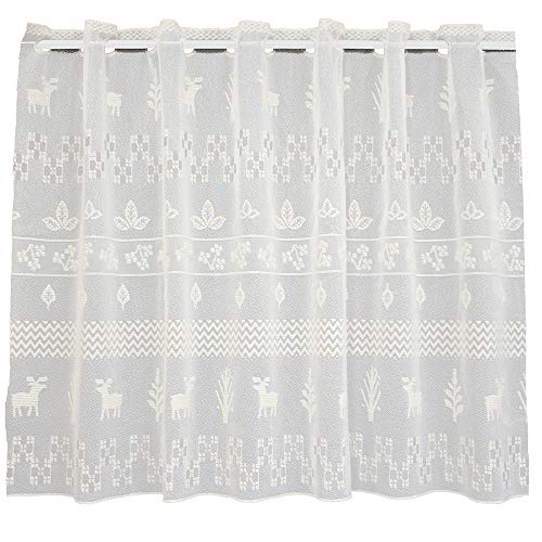 A[G(Arie) JtFJ[e { Y ȍ VRf k fUC 킢 XF x[W 100×70cm