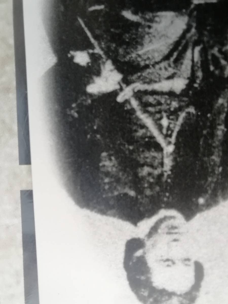 Amazon | 土方歳三 ジグソーパズル 500ピース 38×53cm 新撰組