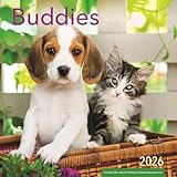 Little Buddies 2026 Wall Calendar - Puppy and Kitten Calendar