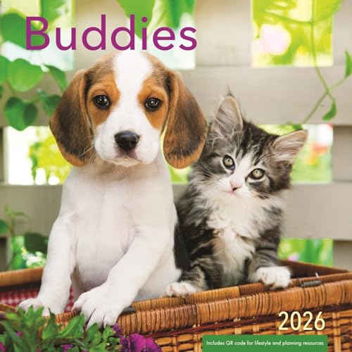 Little Buddies 2026 Wall Calendar - Puppy and Kitten Calendar