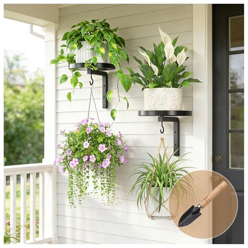 FGHDFH Wall Plant Holder with Hook Metal Hanging Planters for Indoor Plants Floating Flower Display Stand Plant Wall Shelves for Bedroom Living Room Porch Balcony (Black 2PCS)