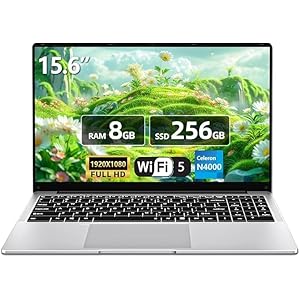 Laptop 15.6 Inch, Laptops Computer Full HD 1920×1080 PC Laptop Netbook Celeron N4000 Processor 8GB DDR4 256 GB SSD, WIFi 5 TF Card Slot Mini HDMI For Business Students Netbook Lightweight