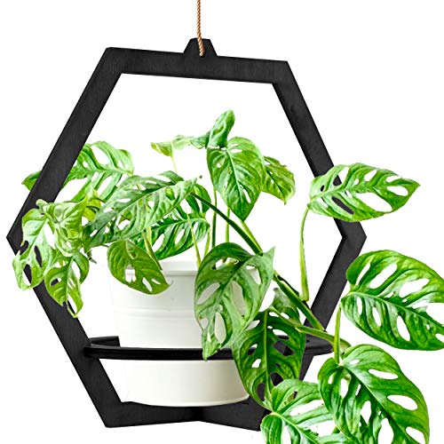 PlantBox VIEGO - Panier mural en bois - Noir - Pour l'intérieur et l'extérieur - Pour décoration murale Cover