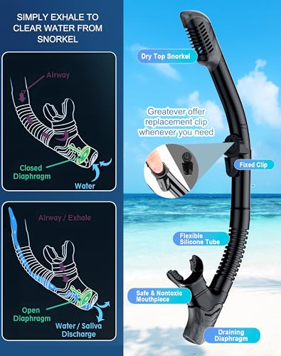 Greatever Dry Snorkel Set,Panoramic Wide View,Anti-Fog Scuba Diving Mask,Professional Snorkeling Gear