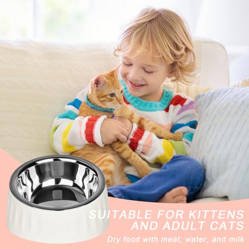 YYTECH 3 Stück Katzennapf Edelstahl, 15° Schräg Futternapf Katze Set, Erhöhter Fressnapf Katze Hundenapf, Fressnapf Für Katze Hunde, Wasser Fütterung Schüssel Abnehmbarer Katzennäpfe für Wasser Snack