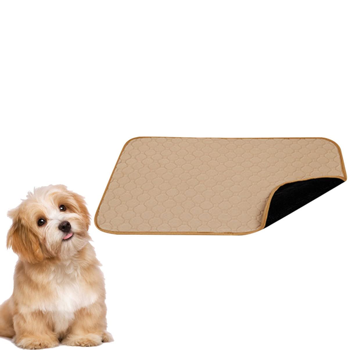 FRCOLOR Tappetino Igienico Lavabile per Cani e Cuccioli, Riutilizzabile, Assorbente, , Confortevole per Casa e Addestramento