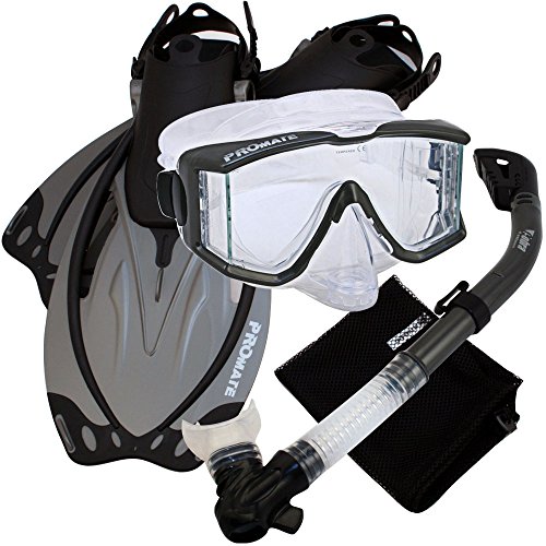 PROMATE Snorkeling Scuba Dive Panoramic Purge Mask Dry Snorkel Fins Gear Set, Ti, MLXL