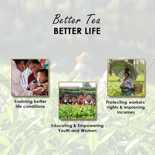 Image of Twinings Pure Green Tea, 25 Tea Bags| Pack of 1| Perfectly Balanced & Refreshing Taste| Handpicked Green Tea Leaves| Enjoy a Hot Cup of Tea