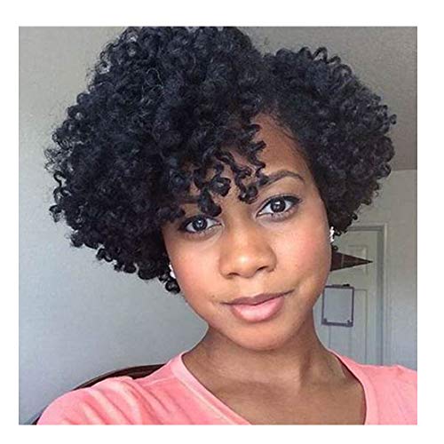 Afro Kinky Curly Clip in for American Lady 12.1" #126