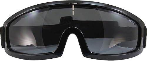 Miniatura 2 de Birdz Robin Sport Skydiving Snowboarding - Gafas de seguridad para montar en motocicleta, espejo azul y lentes ahumados, 2 pares