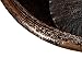 Premier Copper Products BTS67DB 67-Inch Hammered Copper Single Slipper Bathtub, Oil Rubbed Bronze