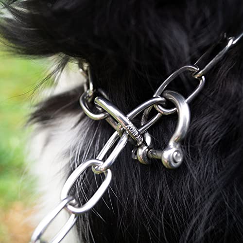 Sprenger collana per cani con gancio (grillo) per