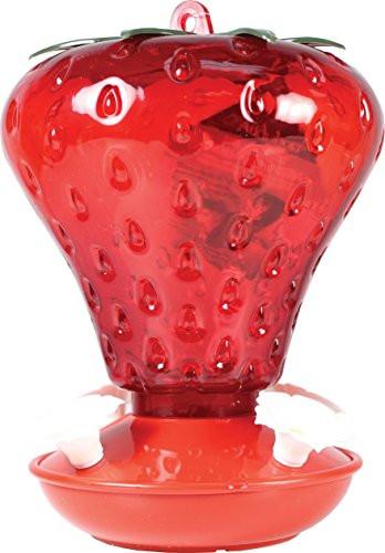 Woodlink Audubon NA5540 991010 40 oz Cap Strawberry Hummingbird Feeder, Red