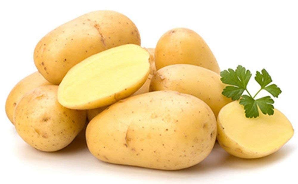 AYODHYAvati organic potato seeds for forming 30pes