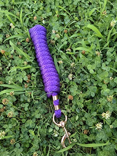 Tgw Riding 2,9 m Poly-Führenseil Nylon Pferdeleine Seil großes Schnappleine Seil für Pferde (lila, Rosegold-Clip) Cover