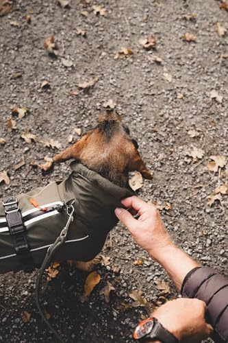 HUNTER Hundemantel NORDBY Dachshund, Farbe: Oliv, wasserdicht, warm gefüttert, reflektierend, ideal für kleine Hunde mit langem Körper, schützt vor Kälte & Nässe, maschinenwaschbar, Größe: 36