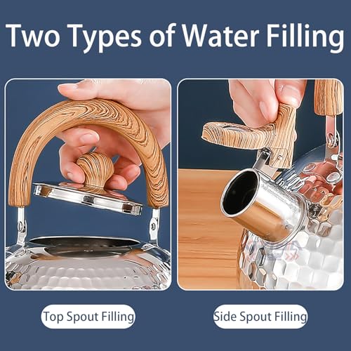 Bouilloire sifflante en acier inoxydable pour tous types de plaques de cuisson