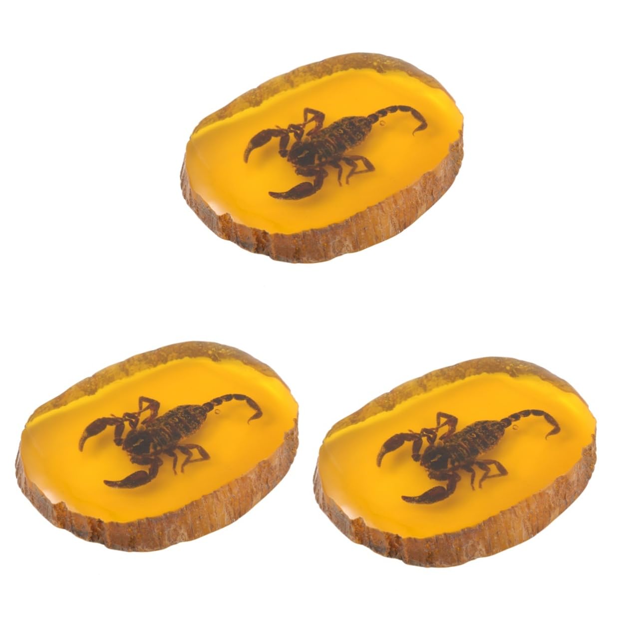 Artibetter 3 Pcs Unique Scorpion Decoration Amber Pendant Insect Specimen Jewelry for Women