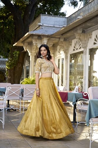 Image of LooknBook Art Womens Women Lehenga Choli
