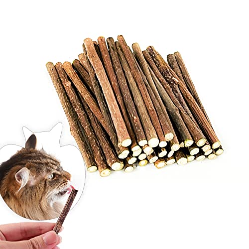 Cat Chew Sticks The 15 best products compared Wild Explained