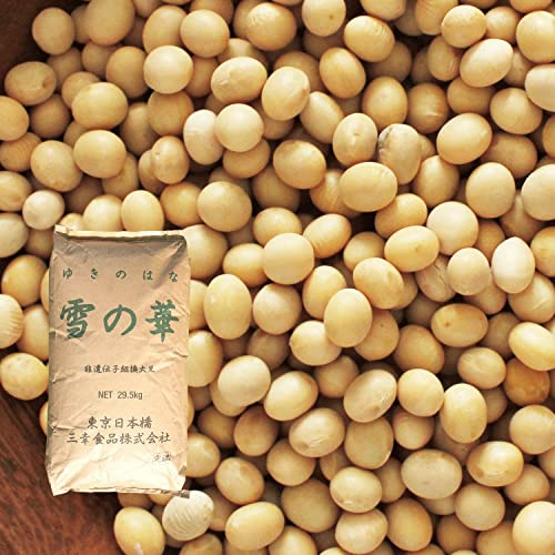 AJY 哤 (29.5kg) ڑ哤 ̉ `qg CfBAiY 