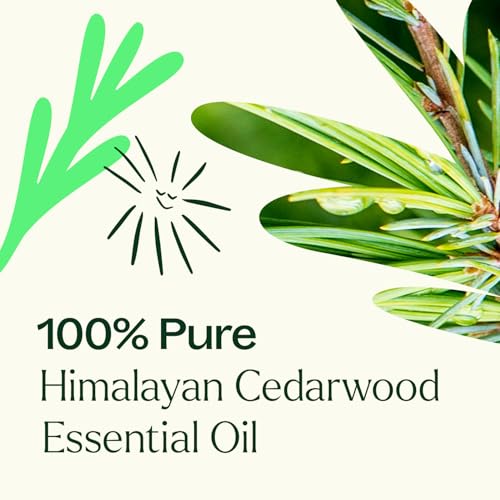 Aceite Esencial Cedarwood 30 mL 100% Puro miniatura 5