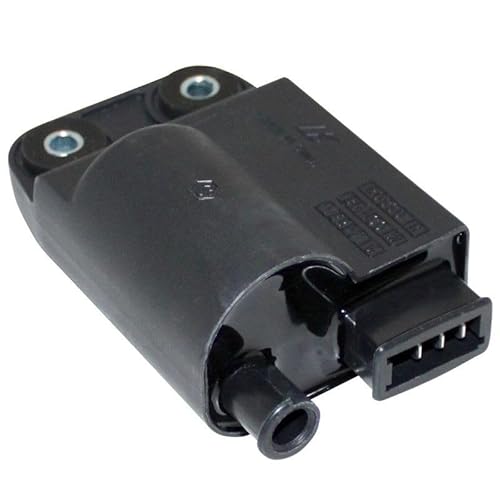 cyclingcolors Zündspule motorrad moped roller mofa kompatibel mit piaggio zip typhoon nrg gilera stalker