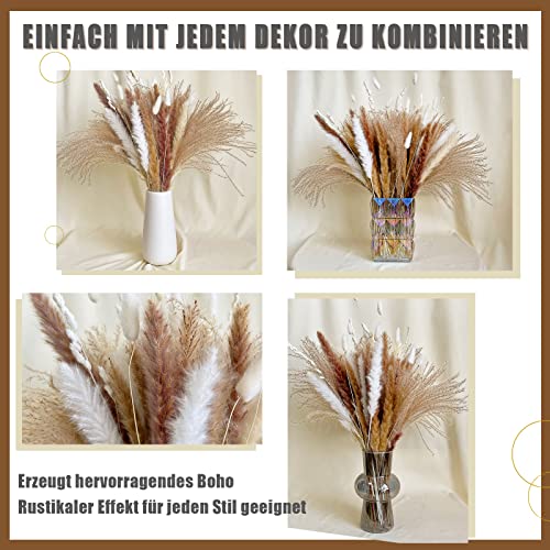 Gedroogde Pampasdecoratie en Bloemen, Natuurlijk, 60 Stukken, Doe-Het-Zelf, Boeket, Ideaal voor Boho, Woonkamer, Bruiloft en Slaapkamer (LZGSGO-0104) - Afbeelding 6